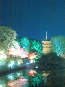東寺秋の夜間特別拝観